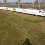 Groensector